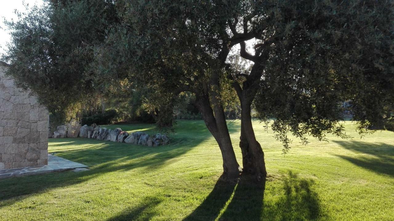 B&B Majore Olbia Exterior foto