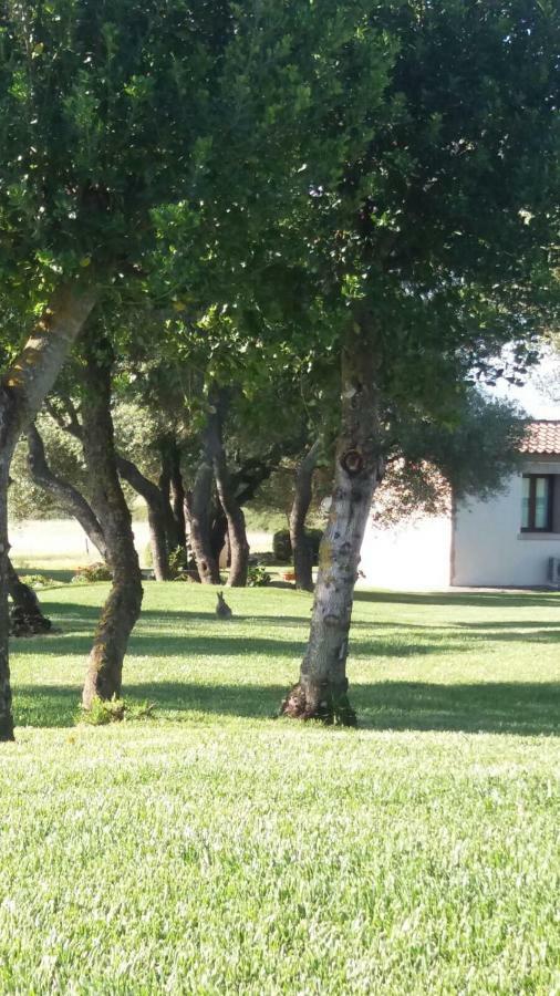B&B Majore Olbia Exterior foto